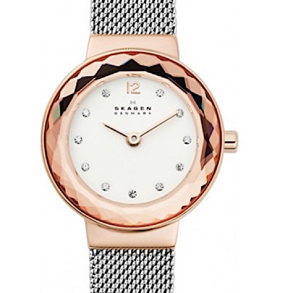 Skagen Lenora watch Model SKW2778 Series Movement Quartz